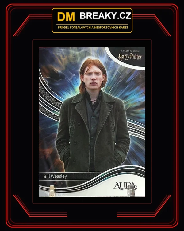 2026 Kakawow – Bill Weasley