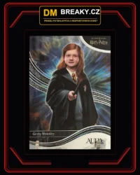 2026 Kakawow – Ginny Weasley