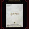 2026 Kakawow – Ginny Weasley