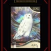 2026 Kakawow – Hedwig