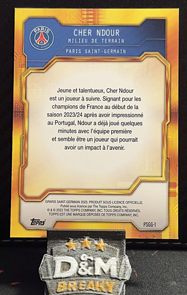 23/24 Paris Saint-Germain Team Set - Cher Ndour