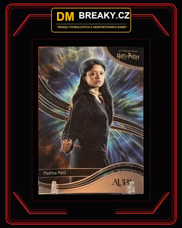 2026 Kakawow - Padma Patil