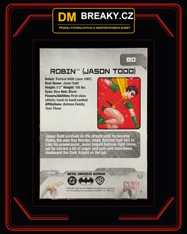 2025 Skybox metal universe - Robin