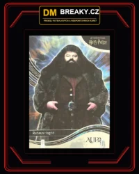 2026 Kakawow – Rubeus Hagrid