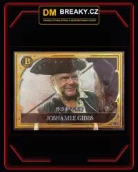 Pirates of the Caribbean - Joshamee Gibbs