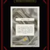 5833 2026 Pieces of the Past - Donald Trump