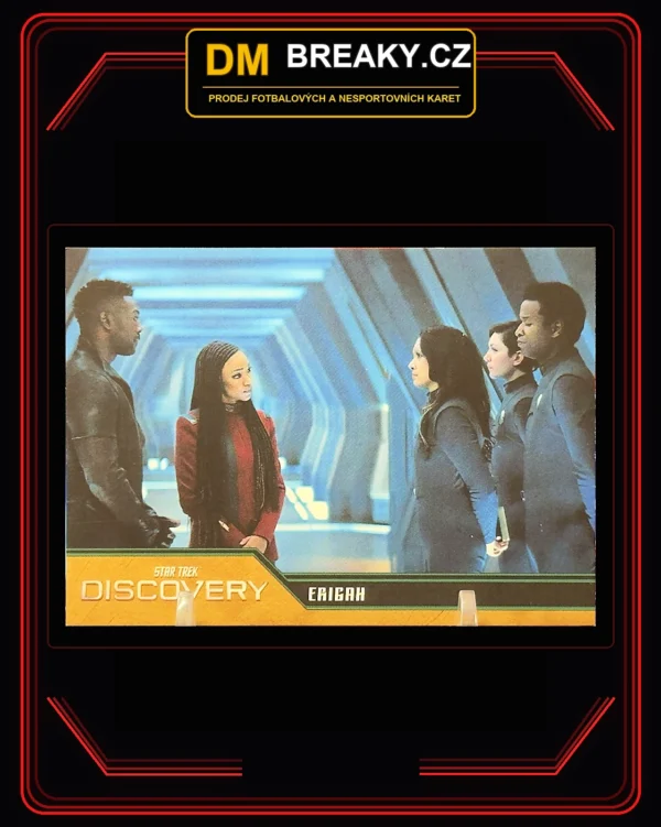 2024 Discovery - Erigah