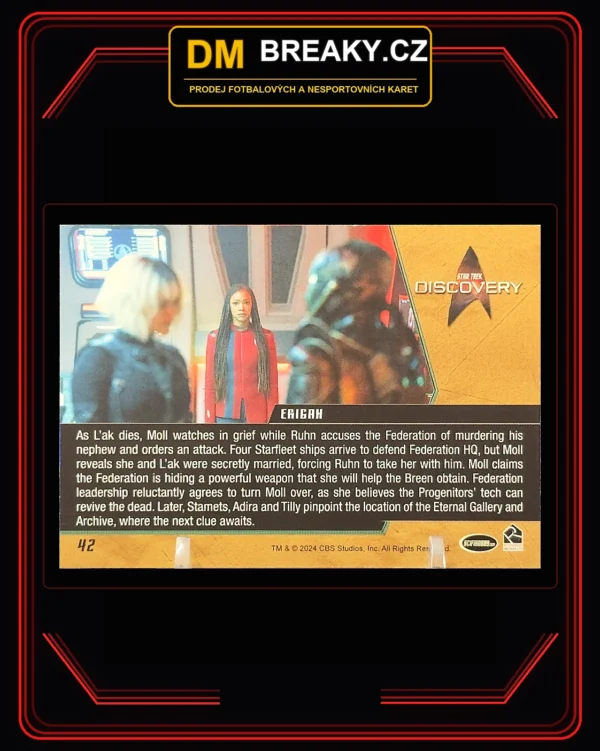 2024 Discovery - Erigah