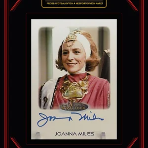 2015 The Woman - Joanna Miles
